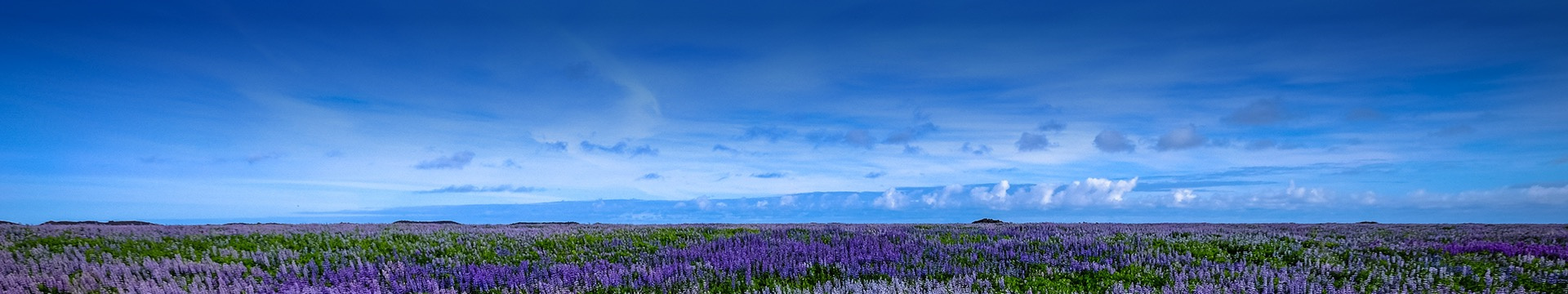 沈阳福山公墓
